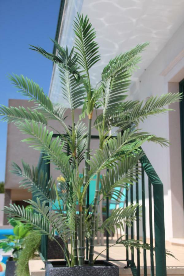 Olive View Villa Vila Nova da Barquinha Eksteriør billede