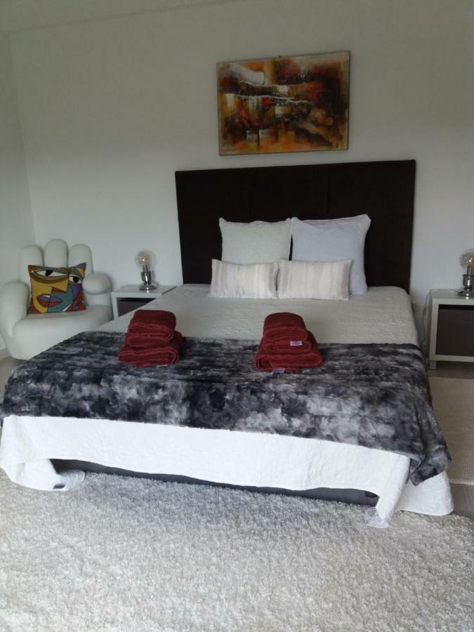 Olive View Villa Vila Nova da Barquinha Eksteriør billede